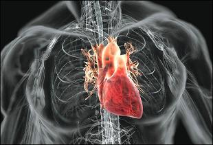 Καρδιαγγειακή νόσος